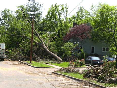 Tree Storm Damage in Cincinnati OH