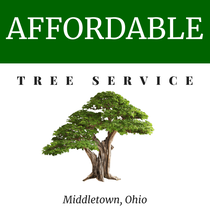 Affordable Tree Service of Middletown Logo