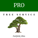Pro Tree Service Fairfield OH Logo